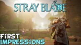 Stray Blade First Impressions "Is It Worth Playing?"