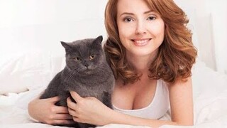 Funny And Cute Cat Videos - Cats And Owners Are The Best Friends