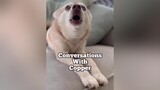Conversations with Copper EP. 1 - Is a coconut really a nut? Submit more questions for copper in the comments 👇