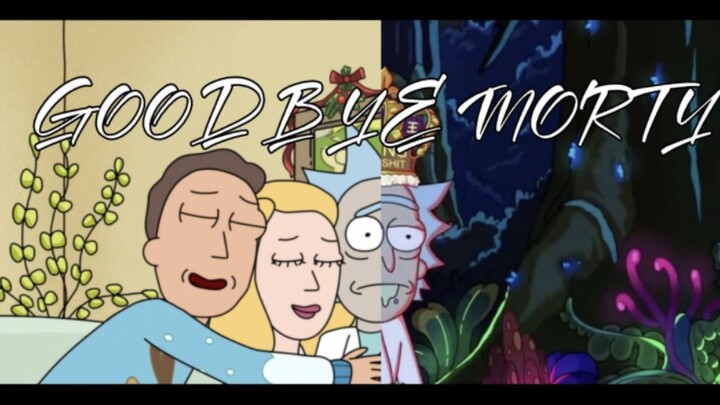 "I'm just a reflection of Rick's love for you, Morty" Season 6 finale