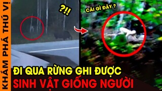 🔥 7 Sinh Vât Bí Ẩn Xuất Hiện Trong Rừng Sâu Vô Tình Bị Con Người Bắt Gặp | KPTV