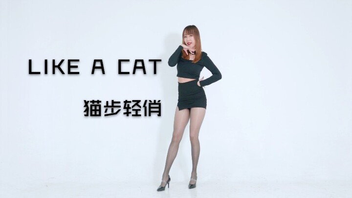 竖屏离你更近~❤️Like a cat–AOA