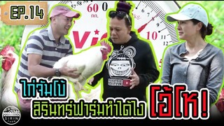 ไก่จัมโบ้ โอ้โห!สิรินทร์ฟาร์มทำได้ไง Our Jumbo Chickens Weigh 8 Kgs [ SIRINFARM CHANNEL ] EP.14