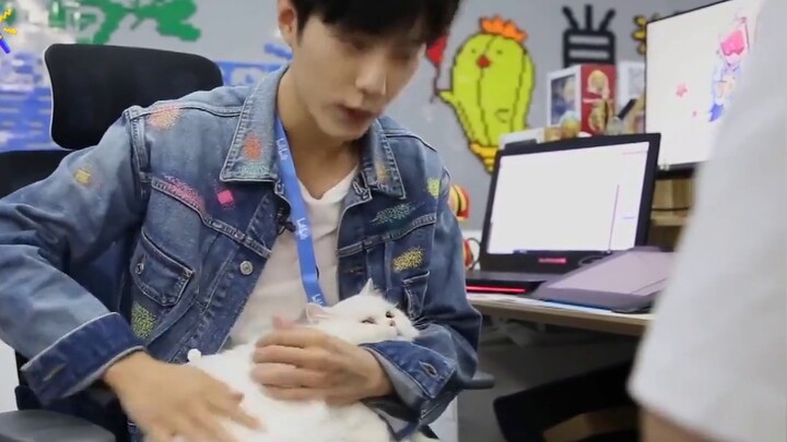 [Xiao Zhan bermain dengan kucing VS menangkap kelinci], apa area bayangan psikologis kelinci?