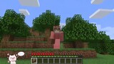 The more experience you have in Minecraft, the more things you drop! How to survive after digging down 10,000