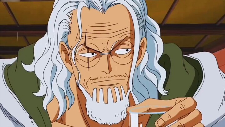 [One Piece]Old Era Vice Captain: Pluto Silbaz Rayleigh appeared and shocked everyone.