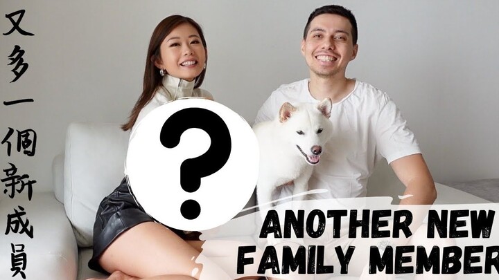 Welcoming Another New Family Member 我們家再多一個新成員！~ Emi & Chad