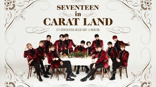 2017 SEVENTEEN IN CARATLAND - HIGHLIGHTS