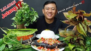 LALAPAN JOTANG MENTAH + PETAI MENTAH + IKAN SAMBAL DABU DABU + SAYUR ASEM