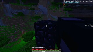 Xây CÁNH CỬA THẦN KỲ Bằng OBSIDIAN KHỔNG LỒ _ Minecraft Là Cái Gì !_ #14