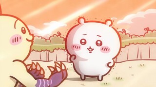 Watched the Dalian version of Chiikawa episodes 16-20 in one go