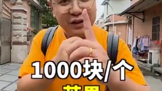 1000块/一个芒果🥭มะม่วงลูกละ1000หยวน