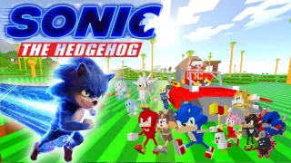 Sonic The Hedgehog - Minecraft Bedrock Edition Addon