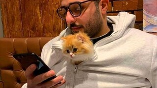 Funniest Cat and their Human you can't watch without Laugh😂