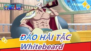 [ĐẢO HẢI TẶC/Whitebeard/Mashup] Dịch cho tôi nghe thử tàn dư thời gian là cái gì! ?