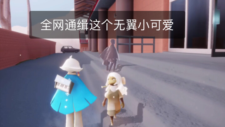 ［光遇］全网通缉这个无翼小可爱！