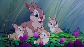 Thumper trong [Bambi] dễ thương quá~