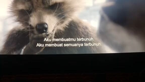 rocket😭