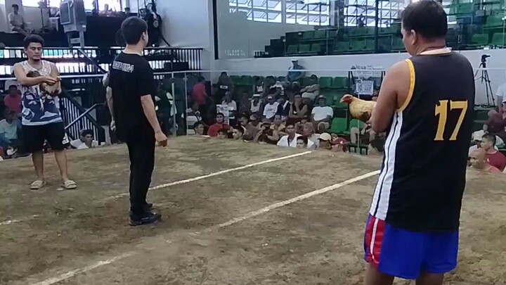 Bulik vs bulisay                                 @zapote coliseum