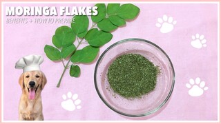 How to Make Malunggay (MORINGA) Flakes for Dogs