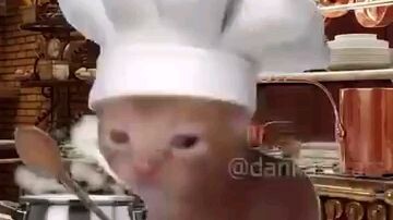 cats cooking pizza