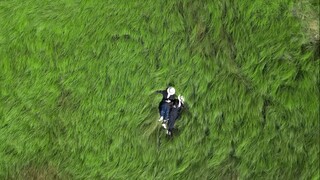 原来这就是“久在樊笼里，复得返自然”