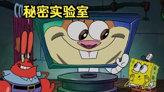 Ông Krabs thực sự đã thuê Sandy để tiến hành một thí nghiệm bí mật ở Krusty Krab.