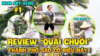 Vlog 1 | NHỮNG ĐIỀU BẠN KHÔNG THỂ THẤY Ở THÀNH PHỐ ! REVIEW QUÁI CHUỐI SIÊU ĐỘC ĐÁO ! NAMARTGAMING