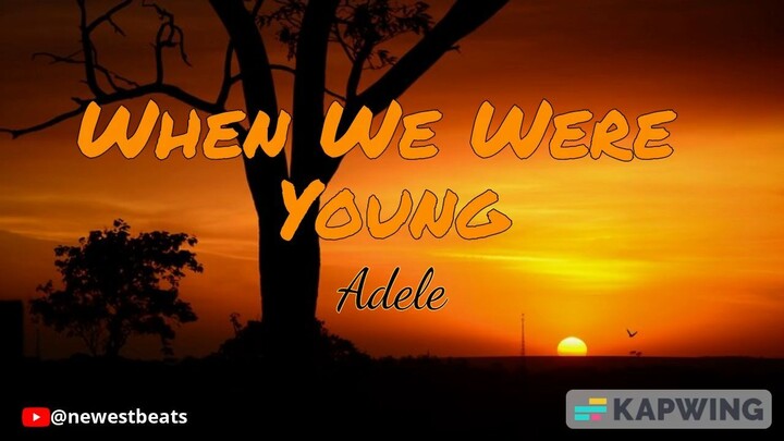 When We Were Young - Adele  mp4