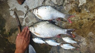 Mancing di bawah jembatan progo jogja