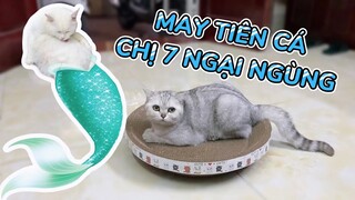 May tiên cá cùng chị Bảy ngại ngùng thử đồ chơi mới và cái kết không như mơ