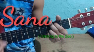 Sana - I belong to the zoo Easy guitar chords tutorial