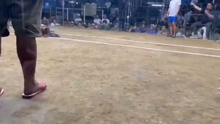 MRMboots n Action
