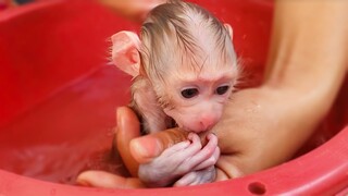 Morning Bathing!! Cleans full diaper & takes a bath for tiny adorable Luca in the morning