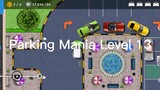 Parking Mania Level 13