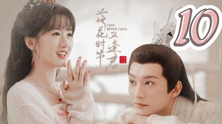 10/40 ~ Love Never Fails 2025 🇨🇳