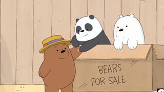 When the three bears were young, how could no one want them so cute?