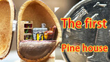 Membuat kamar Di Dalam Kacang Pinus (Kerajinan Tangan)