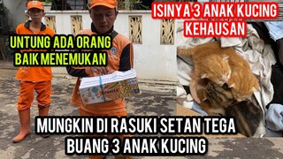 Tega Amat 3 Anak Kucing Masih Bayi Di Buang Sampai Pada Nangis Kehausan..!