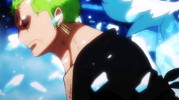 [AMV]Zoro began to fight without saying anything|<One Piece>