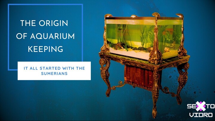 The origin of aquarium keeping