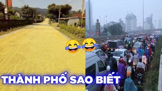 Nông thôn mới hiểu cảm giác phơi lúa trời mưa😂 - Top comment hài hước bá đạo Face Book.