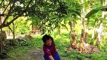 Patay