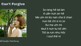 [Phiên âm tiếng Việt] Can’t Forgive - Cha Sookyung (Temptation of Wife OST)