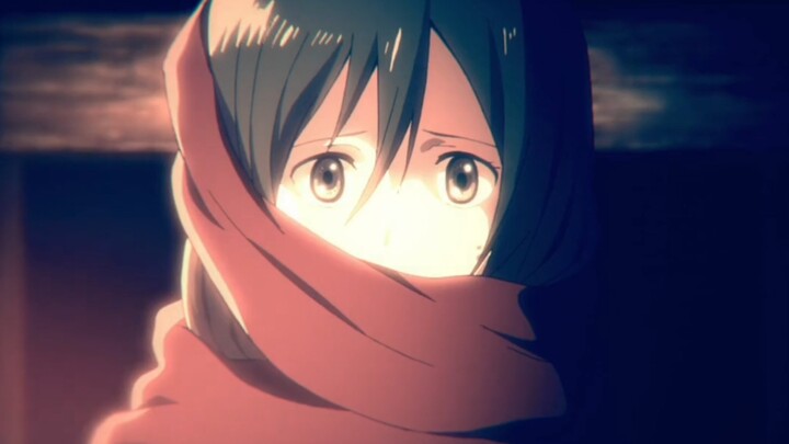 Mikasa, anh ghét em nhất