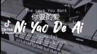 Ni Yao De Ai (full lyrics ) by Penny Tai __cover by Ken and Miyuki