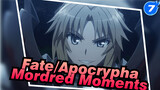 Fate/Apocrypha Cut | Mordred Moments Cut_F7