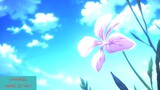 Violet Evergarden 「AMV」 - Thiên văn học ᴴᴰ  #anime
