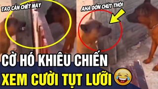 Tổng Hợp Khoảnh Khắc HÀI ĐỘNG VẬT Đảm Bảo Không Cười Không Lấy Tiền P44  | Trùm Tin Hài