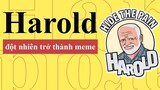 Hide The Pain Harold Meme | Nguồn Gốc Sự Hình Thành Và Phát Triển Meme Người Đàn Ông Bất Hạnh
